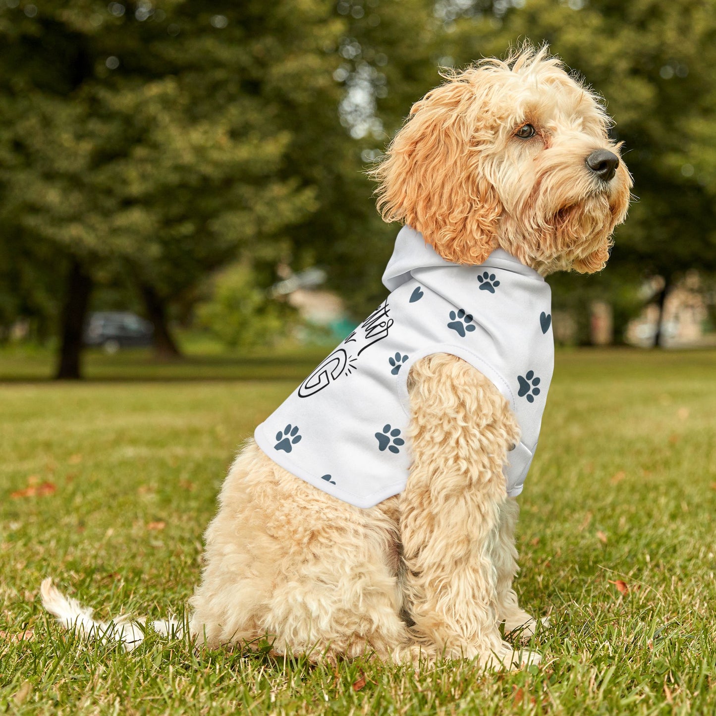 Dog Pet Hoodie | Gifts for Dogs