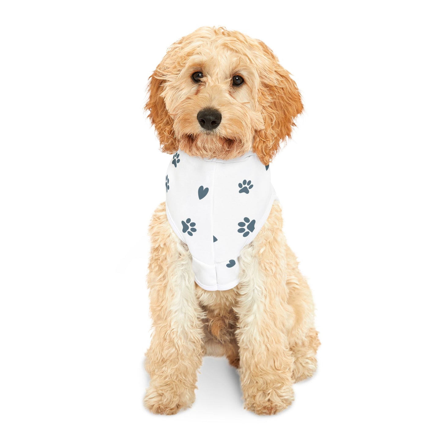 Dog Pet Hoodie | Gifts for Dogs